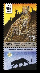 Stamp:Leopard (Endangered Species (World Wildlife Fund) ), designer:Tuvia Kurtz, Ronen Goldberg 02/2011